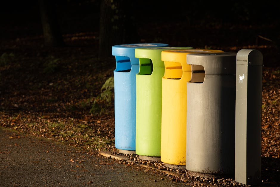 Four coloured recycling bins, blue, green, yellow, and grey, are positioned on a paved pathway outside a property, with the green bin slightly in front of the others. The bins are made of plastic, and each has a slot on the top for inserting waste. Adjacent to the bins is a tall, slim, dark grey waste disposal point with a small icon indicating it is designated for dog waste. The background shows a darkened outdoor area with trees and fallen leaves, suggesting the photo was taken during late autumn or early winter. The scene is illuminated by natural light, highlighting the details of the bins, the path, and surrounding foliage. This setup is typical for recycling and waste management as part of home relocation or organising moving logistics, aligning with services offered by Man with Van Slade Green.